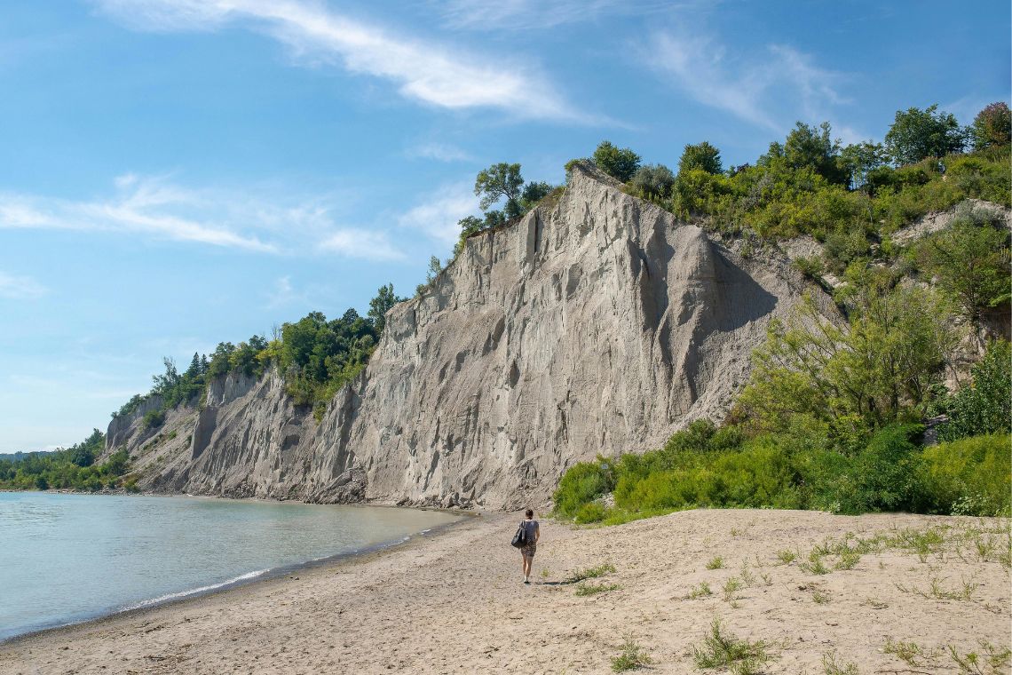 Bluffers Park Location